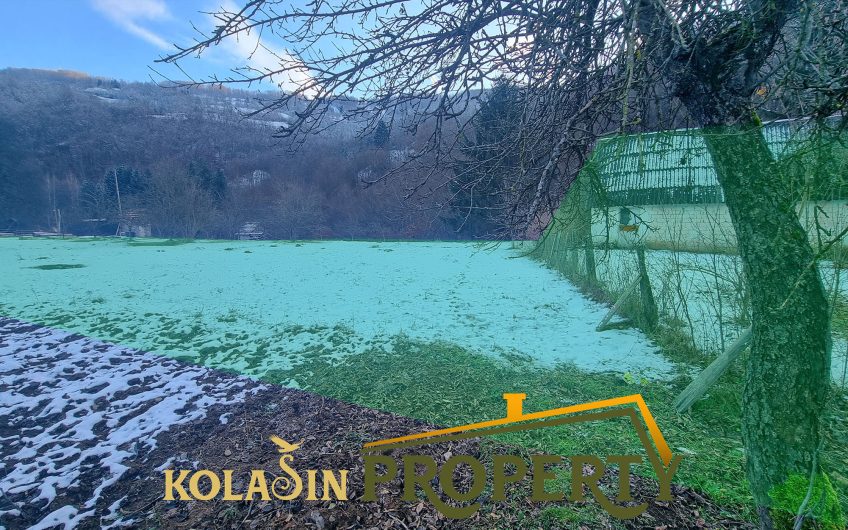 Zemljište 2.650 m² u Bijelom Polju – Majstorovina