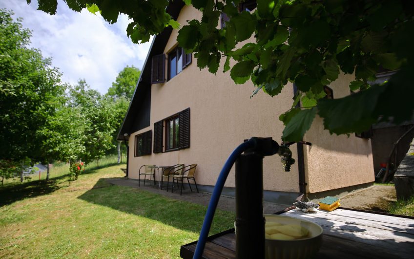 Porodična kuća sa dvorištem, Smailagića Polje, Kolašin