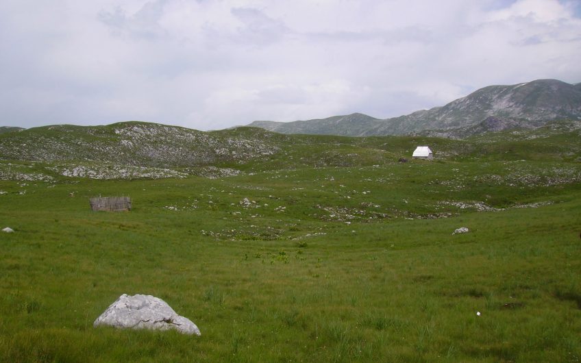 Na prodaju zemljište na Sinjavini, Kolašin – investiciono atraktivna lokacija