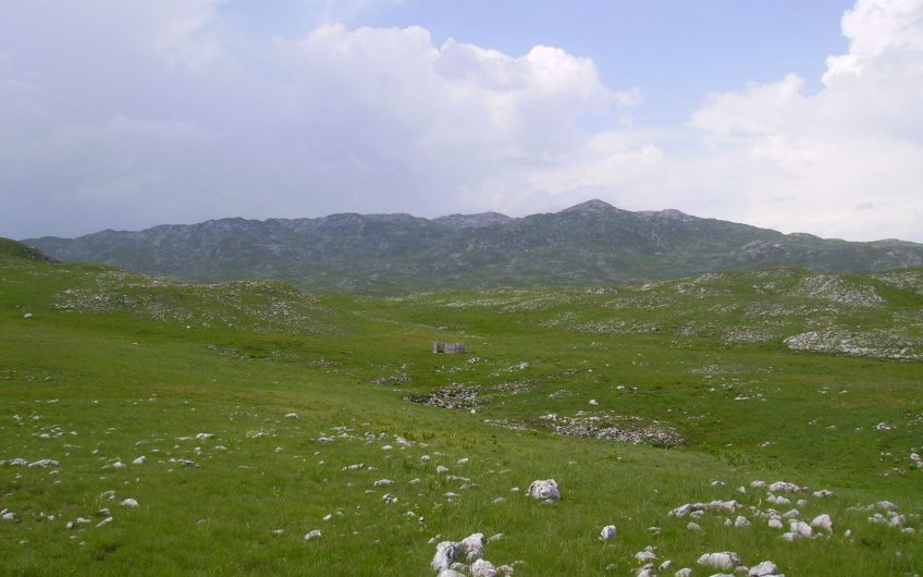 Na prodaju zemljište na Sinjavini, Kolašin – investiciono atraktivna lokacija