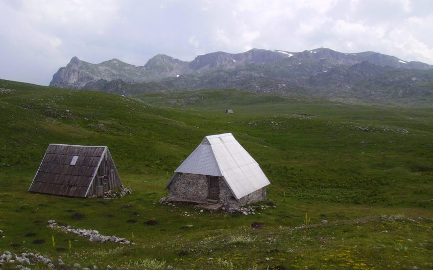 Na prodaju zemljište na Sinjavini, Kolašin – investiciono atraktivna lokacija