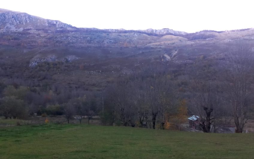 Prodajem-plac-Kolasin-Lipovo-povoljno- 1