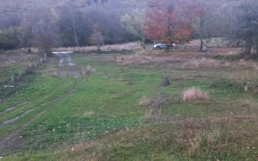 Prodajem-plac-Kolasin-Lipovo-povoljno- 1