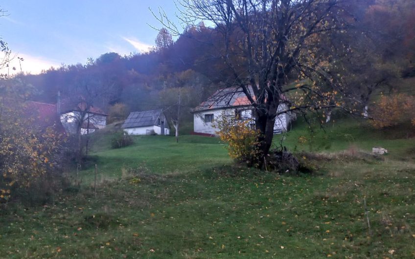 Prodajem-plac-Kolasin-Lipovo-povoljno- 1