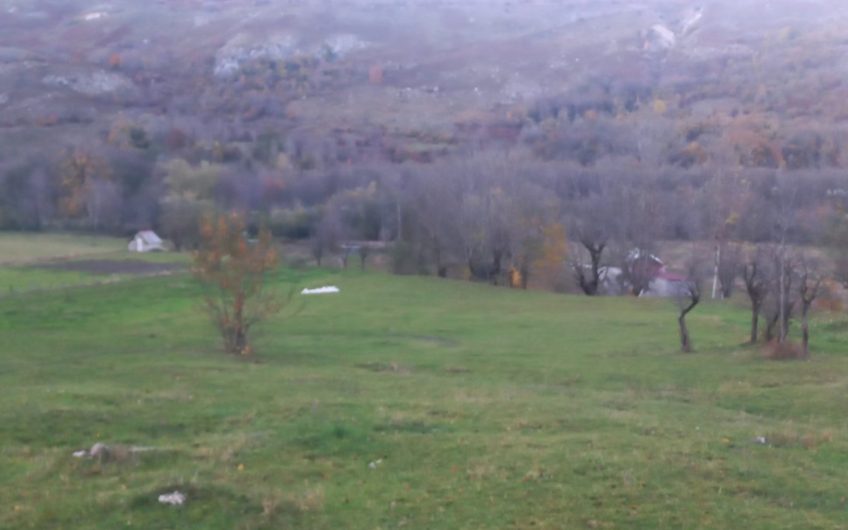 Prodajem-plac-Kolasin-Lipovo-povoljno- 1