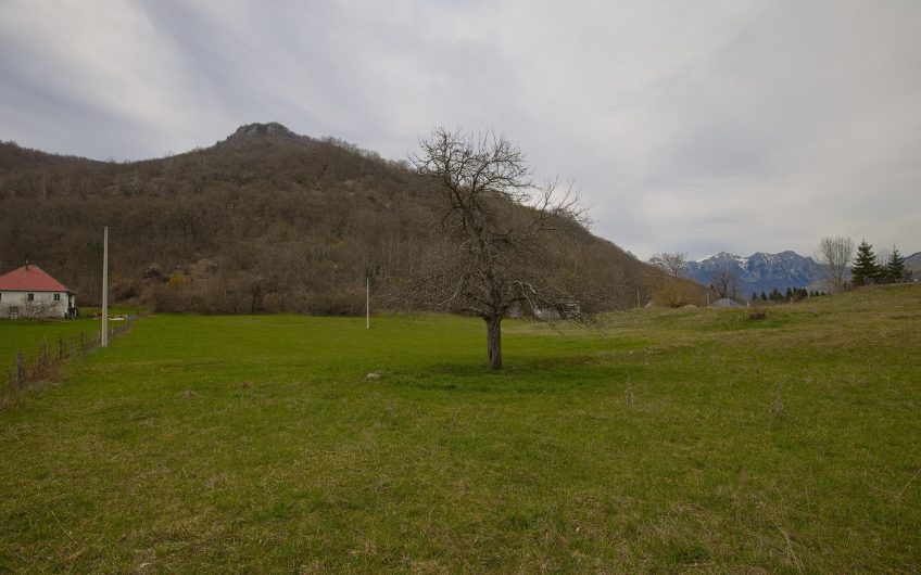 Na prodaju zemljište 9000 m² sa raznovrsnim razvojnim potencijalom, Blatina, Kolašin