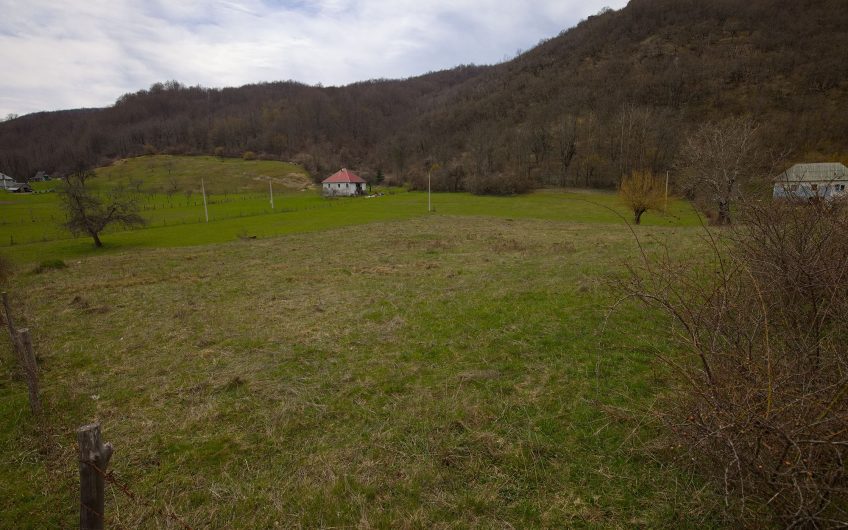 Na prodaju zemljište 9000 m² sa raznovrsnim razvojnim potencijalom, Blatina, Kolašin