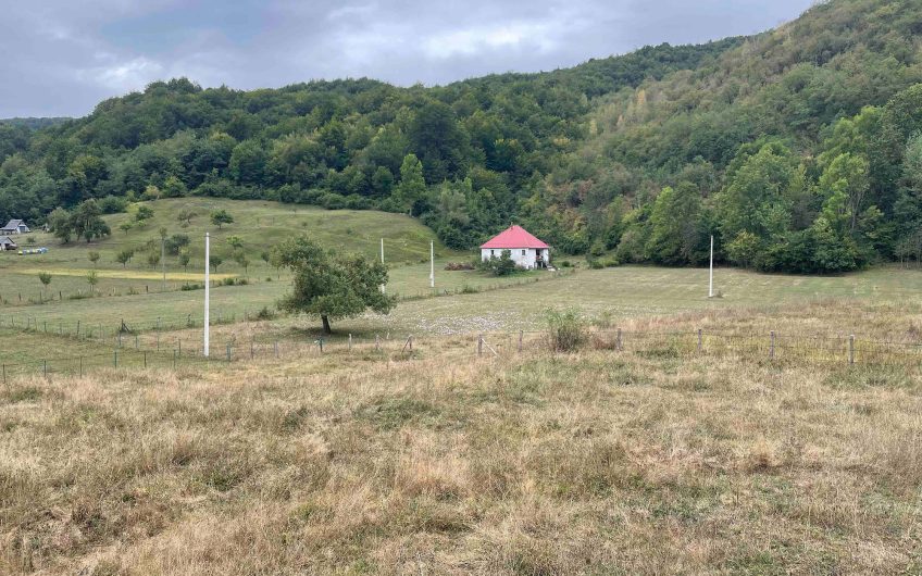 Na prodaju zemljište 9000 m² sa raznovrsnim razvojnim potencijalom, Blatina, Kolašin