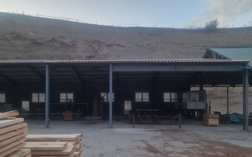 Na prodaju plac i poslovni objekat – hala (pilana) sa pratećom infrastrukturom, Berane