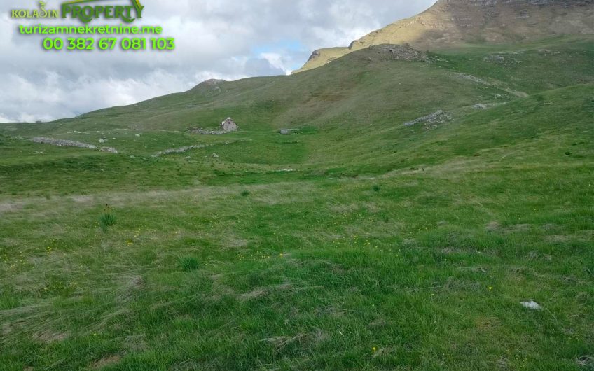 Spacious Land for Sale – 46,876 m² in Javorje, Municipality of Kolašin