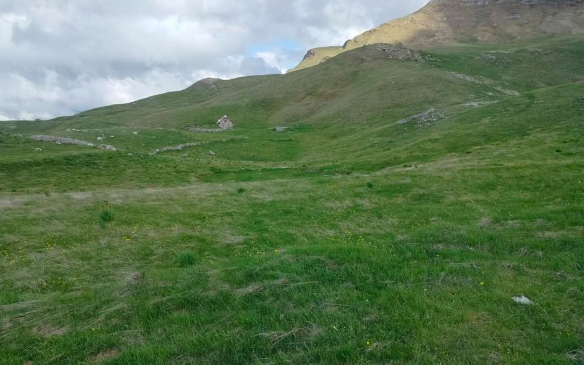 Spacious Land for Sale – 46,876 m² in Javorje, Municipality of Kolašin