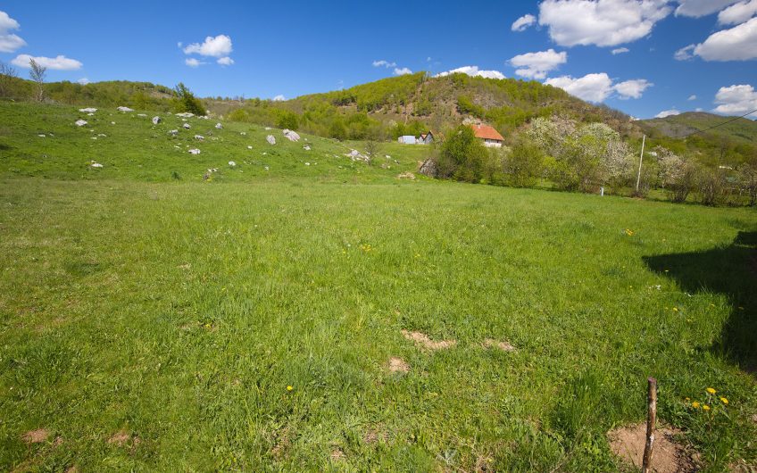 For Sale – 3,800 m² Plot with Diverse Development Potential on the Road to Lipovo – Kolasin
