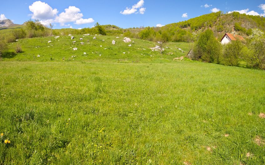 For Sale – 3,800 m² Plot with Diverse Development Potential on the Road to Lipovo – Kolasin