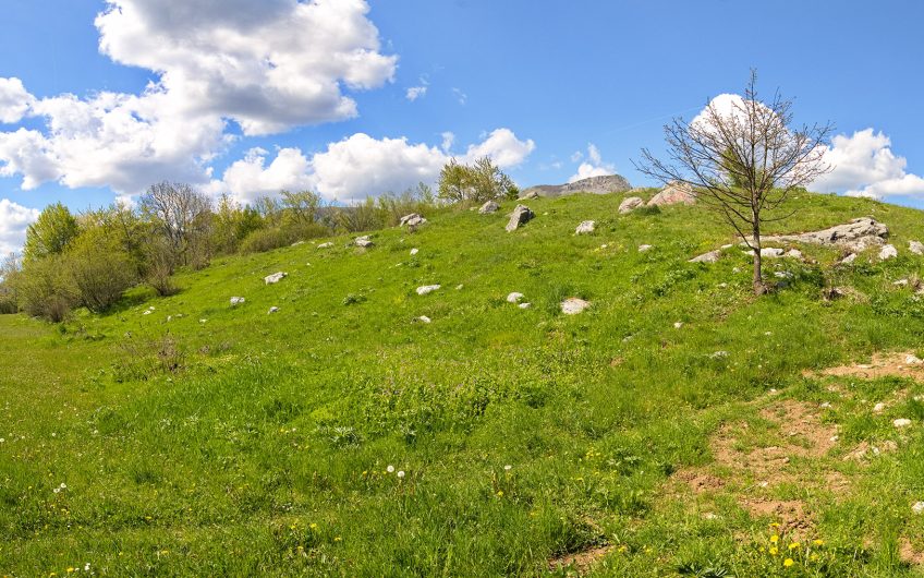 For Sale – 3,800 m² Plot with Diverse Development Potential on the Road to Lipovo – Kolasin