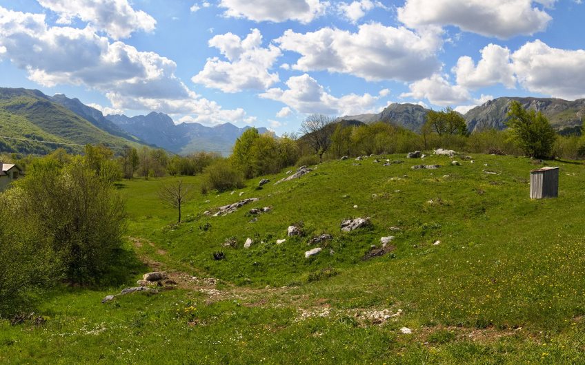 For Sale – 3,800 m² Plot with Diverse Development Potential on the Road to Lipovo – Kolasin