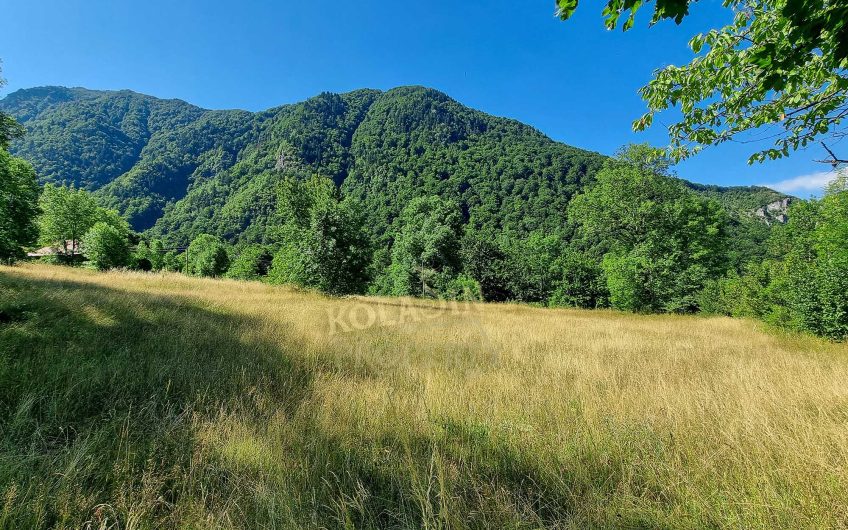 Mušovića Rijeka zemljište