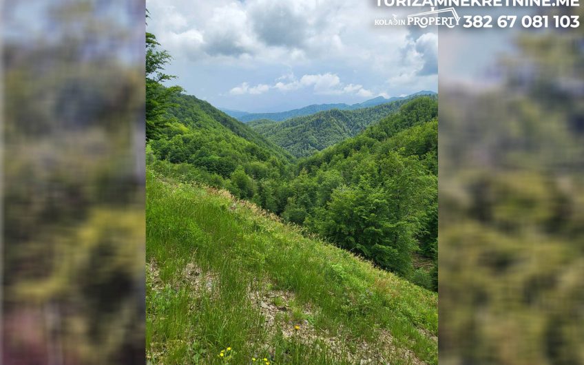 For Sale – Land in Žirci 39,600 m², just 5 km from the Center of Kolašin