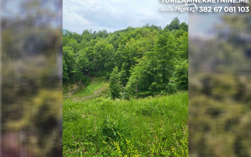For Sale – Land in Žirci 39,600 m², just 5 km from the Center of Kolašin