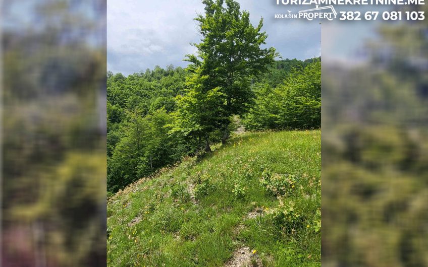 For Sale – Land in Žirci 39,600 m², just 5 km from the Center of Kolašin