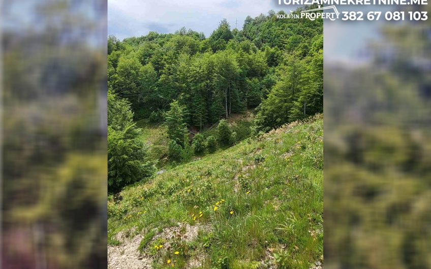 For Sale – Land in Žirci 39,600 m², just 5 km from the Center of Kolašin