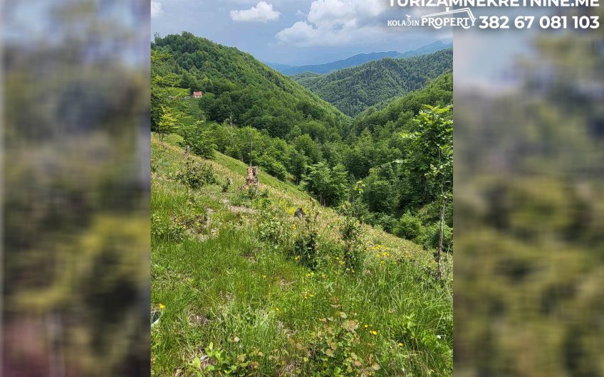 For Sale – Land in Žirci 39,600 m², just 5 km from the Center of Kolašin