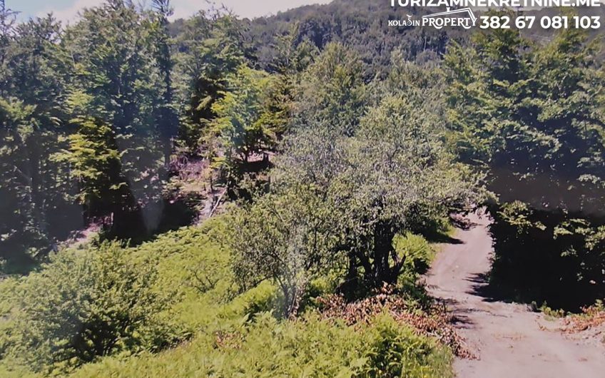 For Sale – Land in Žirci 39,600 m², just 5 km from the Center of Kolašin