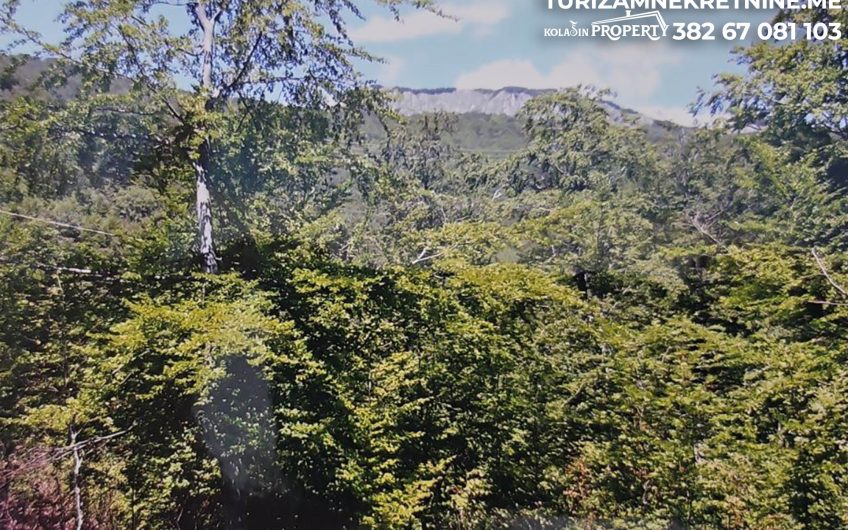 For Sale – Land in Žirci 39,600 m², just 5 km from the Center of Kolašin