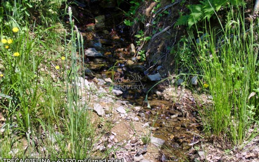 Zemljište Sjerogošte, Kolašin – Jedinstvena prilika za investiranje uz rijeku Taru