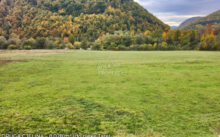 Zemljište Sjerogošte, Kolašin – Jedinstvena prilika za investiranje uz rijeku Taru