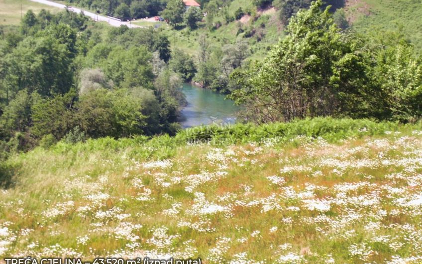Zemljište Sjerogošte, Kolašin – Jedinstvena prilika za investiranje uz rijeku Taru