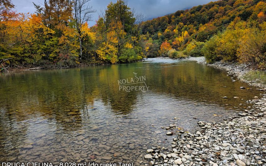 Zemljište Sjerogošte, Kolašin – Jedinstvena prilika za investiranje uz rijeku Taru
