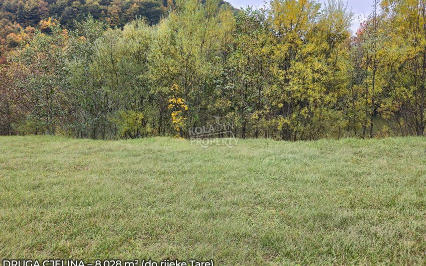 Zemljište Sjerogošte, Kolašin – Jedinstvena prilika za investiranje uz rijeku Taru