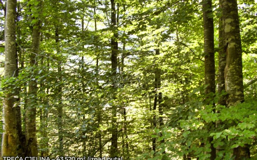 Zemljište Sjerogošte, Kolašin – Jedinstvena prilika za investiranje uz rijeku Taru