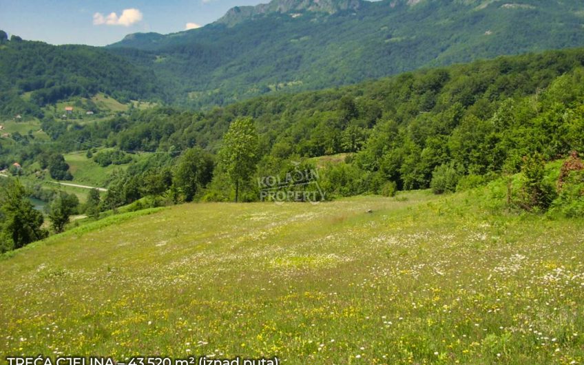 Zemljište Sjerogošte, Kolašin – Jedinstvena prilika za investiranje uz rijeku Taru