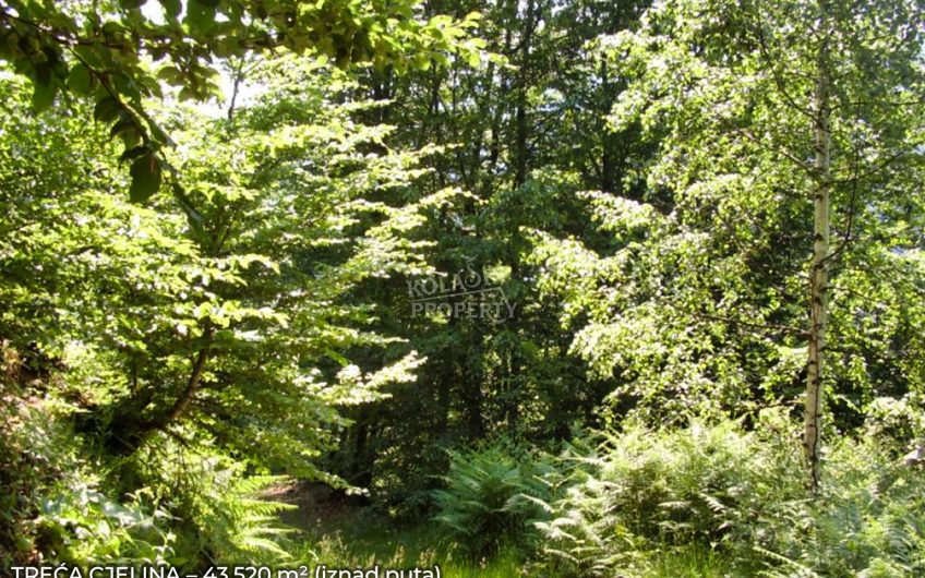 Zemljište Sjerogošte, Kolašin – Jedinstvena prilika za investiranje uz rijeku Taru