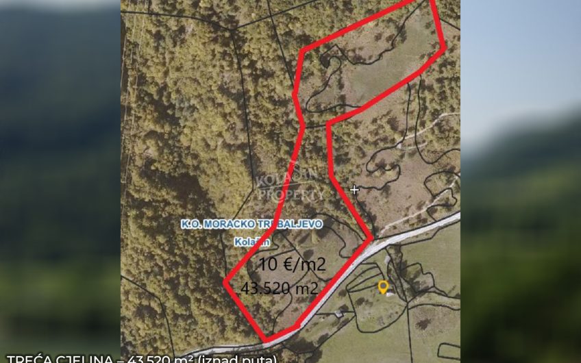 Zemljište Sjerogošte, Kolašin – Jedinstvena prilika za investiranje uz rijeku Taru