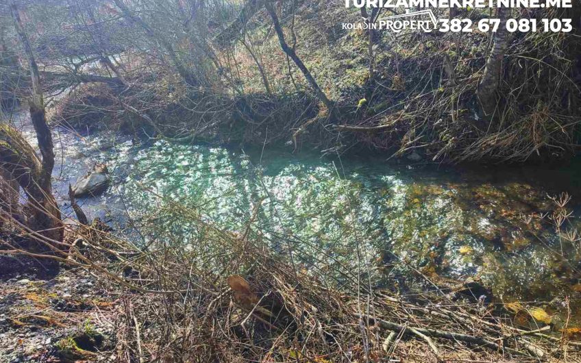 Spacious Family Estate for Sale – Mojkovac Montenegro