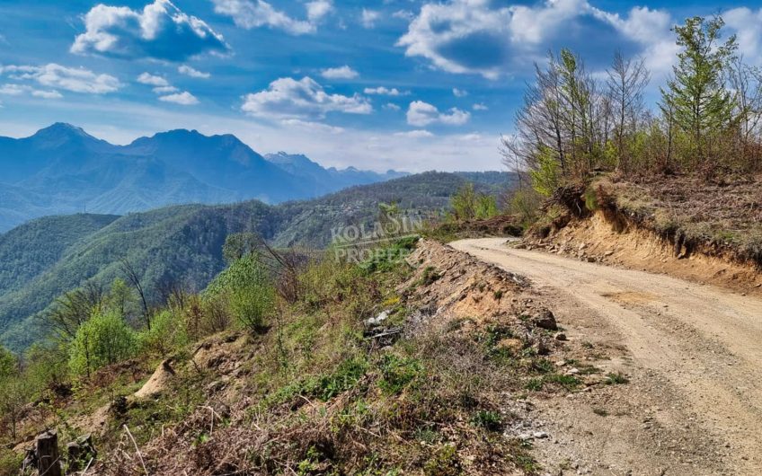 Prodaje se imanje 220.000 m² – Crkvine – Ravni, Kolašin