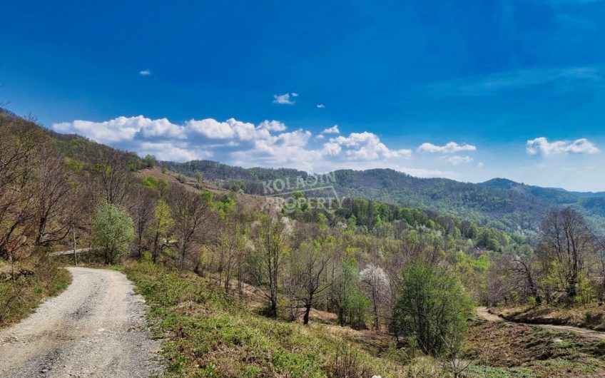 Prodaje se imanje 220.000 m² – Crkvine – Ravni, Kolašin