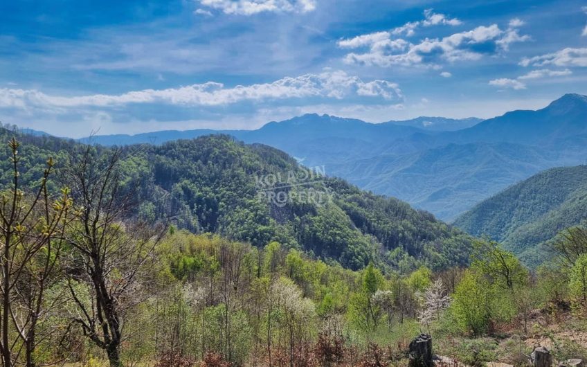 Prodaje se imanje 220.000 m² – Crkvine – Ravni, Kolašin