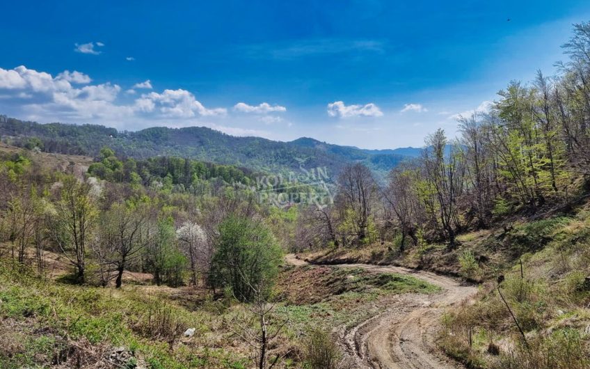 Prodaje se imanje 220.000 m² – Crkvine – Ravni, Kolašin