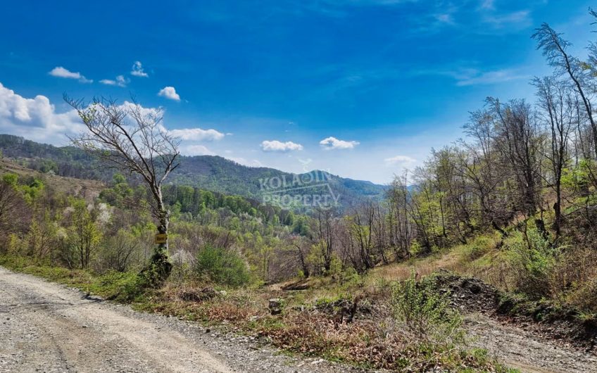 Prodaje se imanje 220.000 m² – Crkvine – Ravni, Kolašin