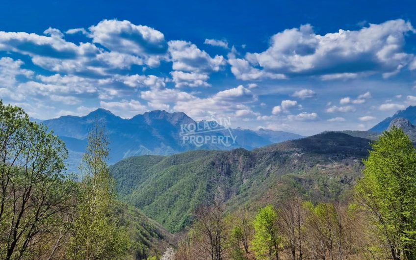 Prodaje se imanje 220.000 m² – Crkvine – Ravni, Kolašin