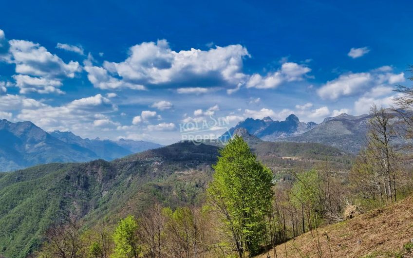 Prodaje se imanje 220.000 m² – Crkvine – Ravni, Kolašin