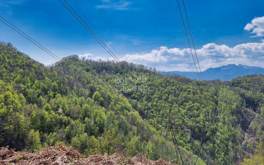 Prodaje se imanje 220.000 m² – Crkvine – Ravni, Kolašin