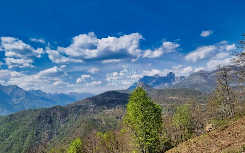 Prodaje se imanje 220.000 m² – Crkvine – Ravni, Kolašin