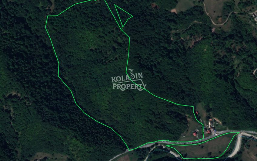 Veliko imanje – 209.786 m² Kolašin (moguća parcelacija)