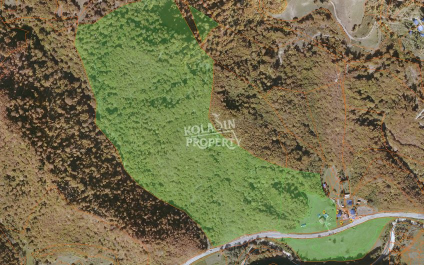Veliko imanje – 209.786 m² Kolašin (moguća parcelacija)